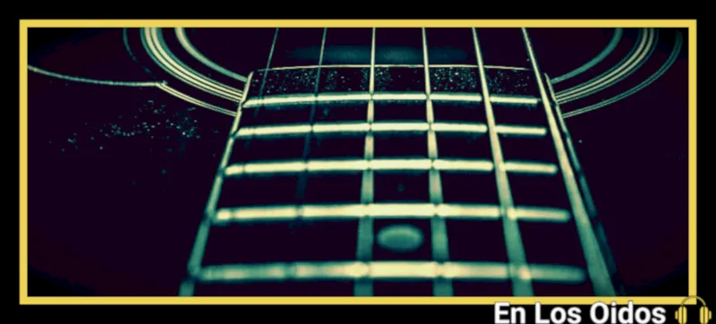 guitar neck strings closeup