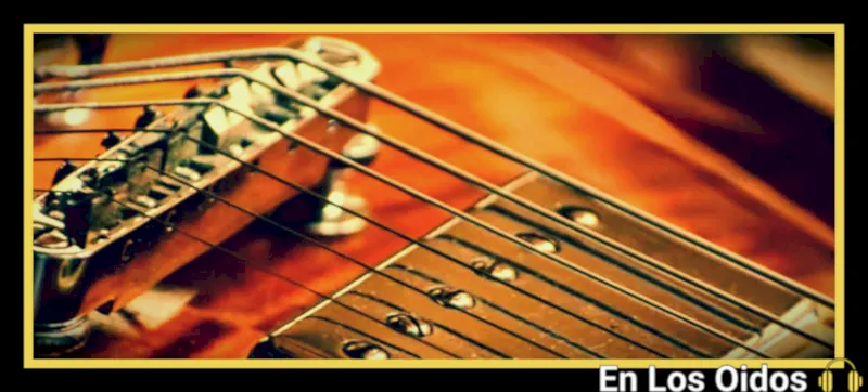 guitar strings closeup